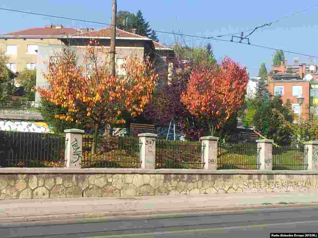 Bosnia-Herzegovina, autumn leaf color, leafs, colors, fall, Sarajevo 26Oct2015