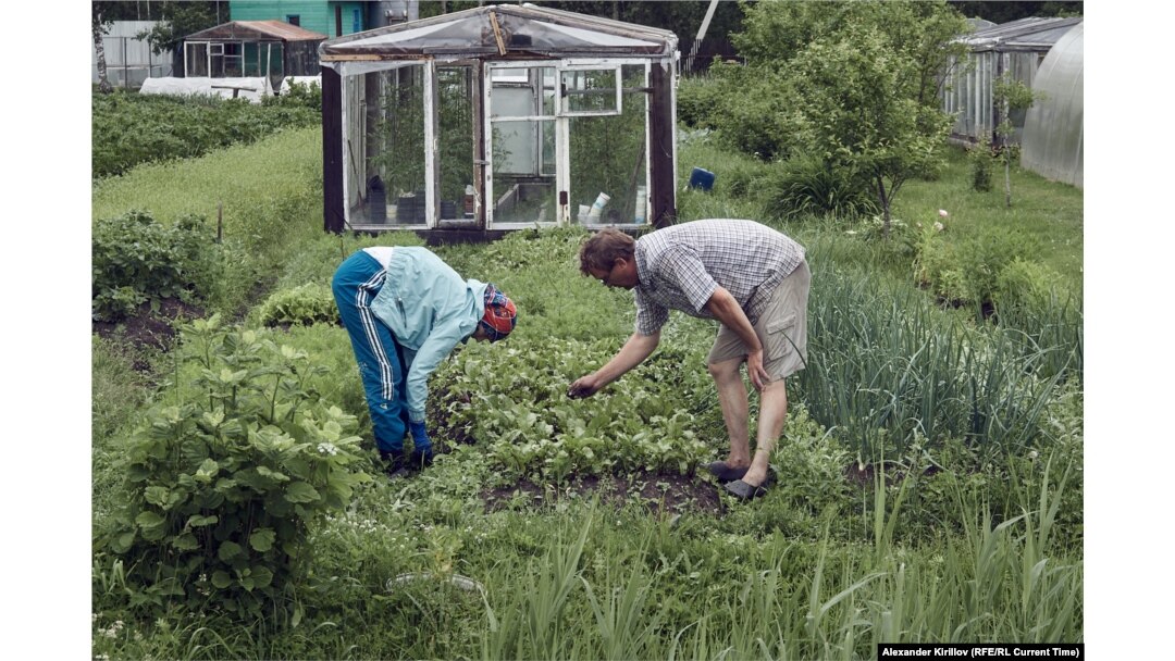 At the dacha