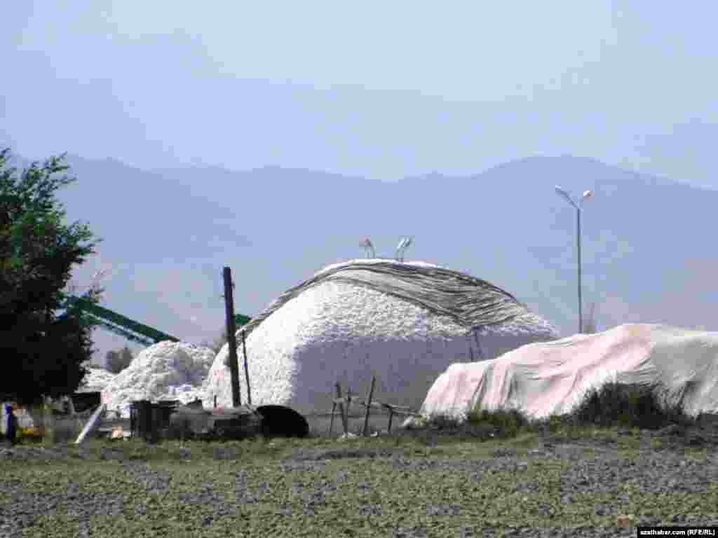 A mound of harvested cotton in Ahal Province