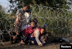 სირიელი მიგრანტები ცდილობენ მავთულხლართებში გაძრომას და სერბეთიდან უნგრეთის მხარეს გადასვლას