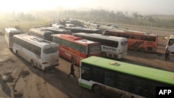 Автобуси для перевезення евакуйованих жителів з передмість Алеппо