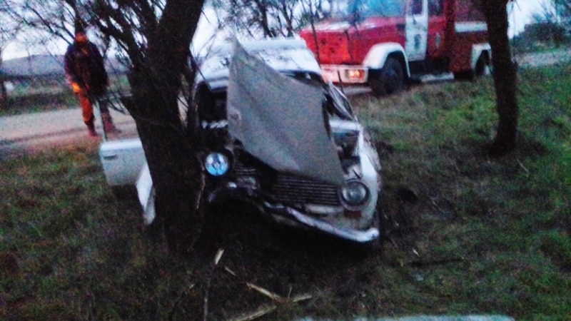 В Крыму автомобиль «ВАЗ» врезался в дерево (+фото)