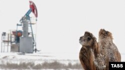 Станок-качалка на месторождении Северные Бузачи на полуострове Мангышлак в Западном Казахстане. Иллюстративное фото. 