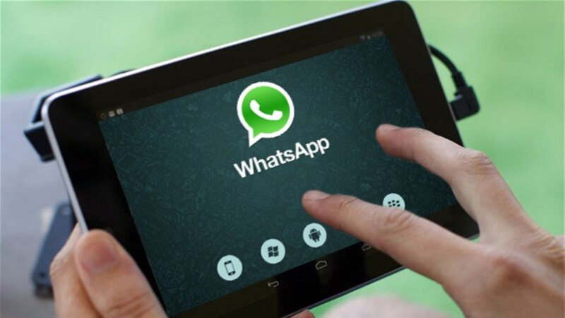“WhatsApp” аркылуу улуттар аралык кастыкты козуткан жаран кармалды