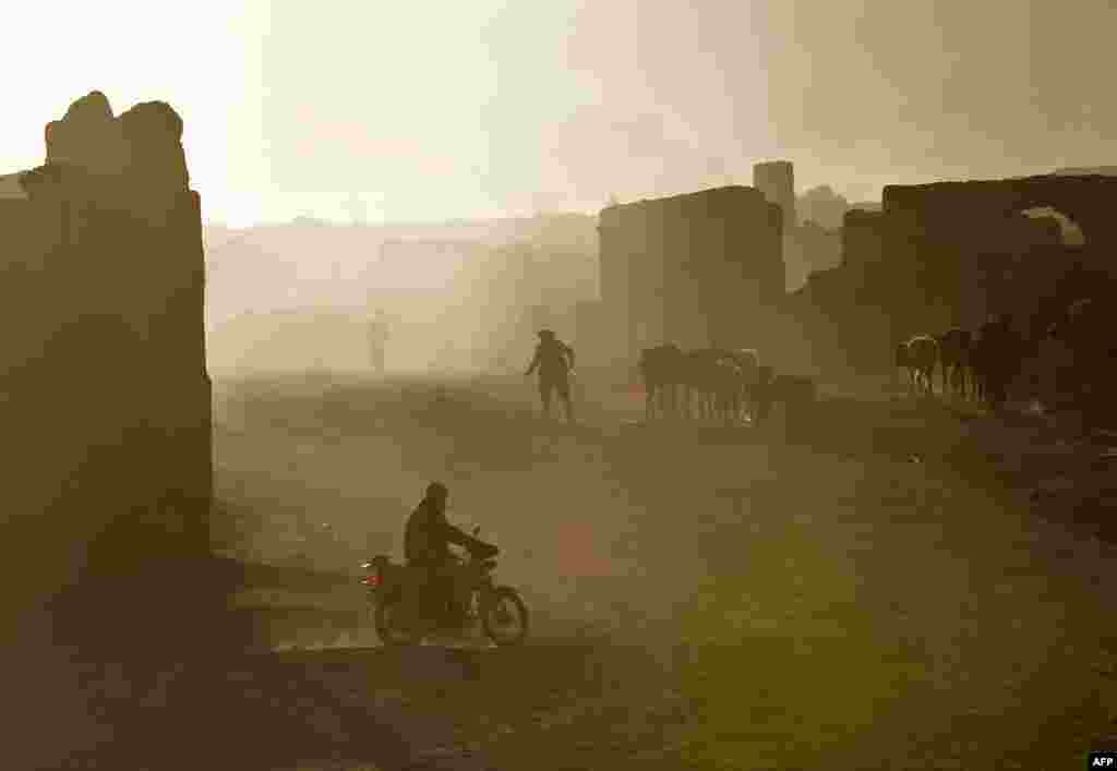 A Hazara shepherd walks with his flock.