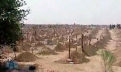 Коронавирустан қайтыс болғандарды жерлейтін зират. Түркіменстан, шілде айы 2020 жыл.