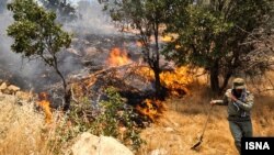 آتش سوزی در جنگل‌های زاگرس در استان ایلام