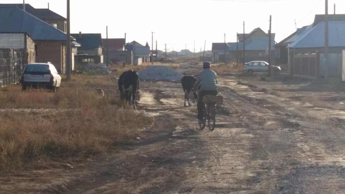 «Зеленый пояс» не устраивает жителей сёл под Астаной