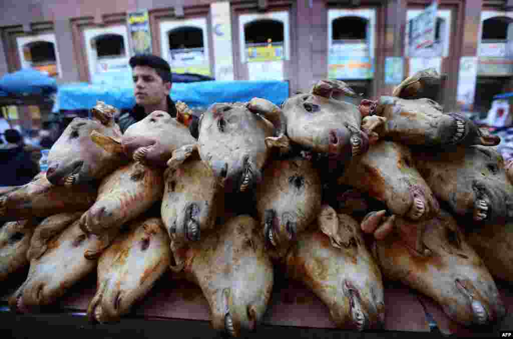 An Iraqi Kurdish street vendor sells cooked goat heads in a market in Irbil, the capital of Iraq's Kurdistan region. (AFP/Safin Hamed)