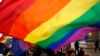 Блокировку законопроекта о «гей-пропаганде» объяснили «неточностями»