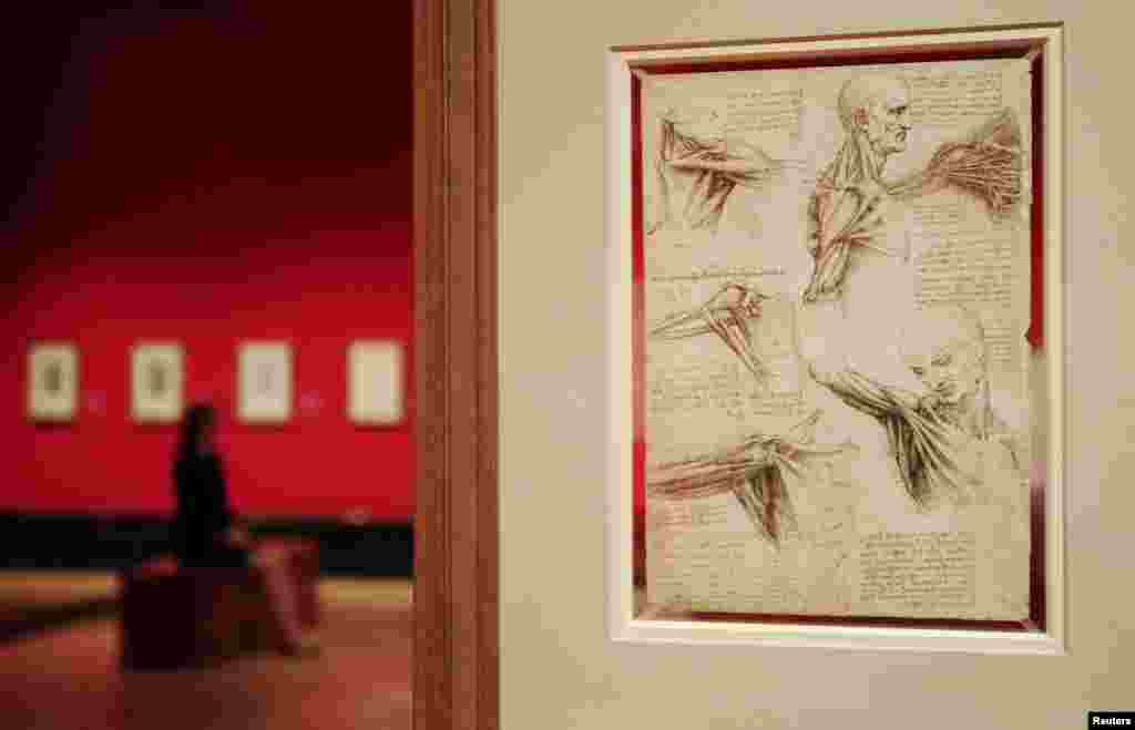 Izložba pod nazivom "Leonardo da Vinci: Anatomist", London, 30. april 2012. Foto: REUTERS / Luke MacGregor 