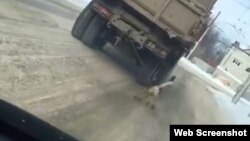 В Черкесске водитель привязал собаку к грузовику