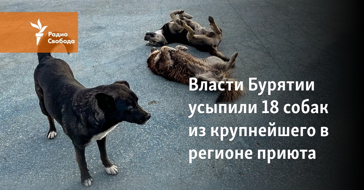 The authorities of Buryatia euthanized 18 dogs from the largest shelter in the region