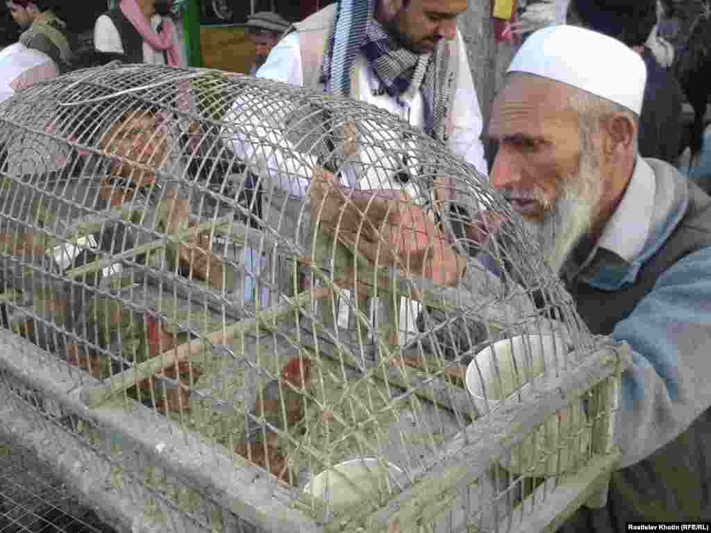 Some of Afghanistan&#39;s earliest European explorers described Kabul as &quot;paradise&quot; because of the sound of birds singing in local gardens. Here, an Afghan man selling finches at a market.&nbsp;