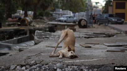 Ерлі-зайыптылар мен құл арасындағы жыныстық қатынас