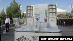 Творчество президента Бердымухамедова, в том числе сборника "Лекарственные растения Туркменистана", пропагандируется в стране на официальном уровне. (архивное фото) 