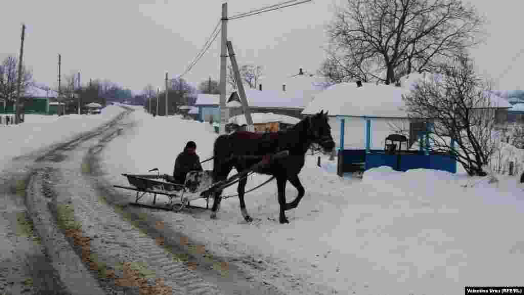 Moldova - winter, snow, horse-drawn sleigh, Drochia district
