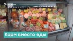 Корм вместо еды | Крым за неделю с Александром Янковским