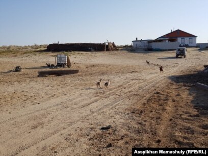 Эшли Джорджпен порно Украиналық әйелдер мен қара нәсілді еркектердің қатысуымен онлайн порно