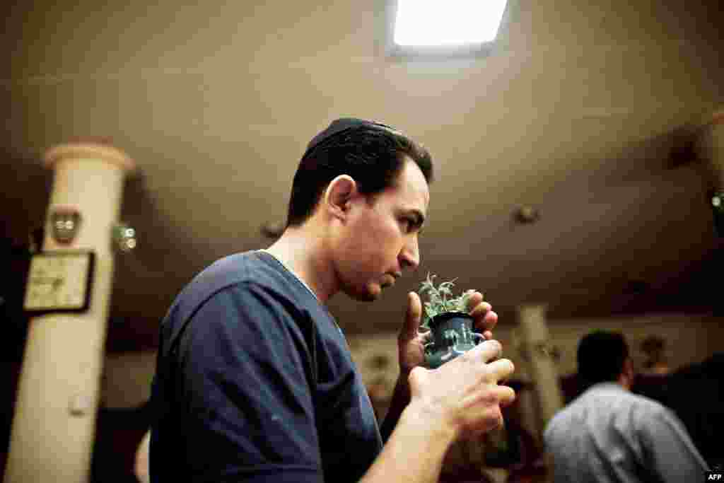 An Iranian Jew smells a plant to be blessed at a Tehran synagogue.