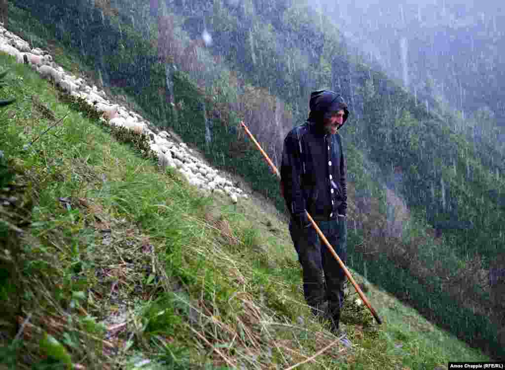 Un cioban în munții Tusheti din Georgia, pe 28 mai. Fotograful Amos Chapple a documentat viața dificilă a ciobanilor în reportajul lui, &bdquo;Întoarcerea ciobanilor&rdquo;. (Amos Chapple, RFE/RL)