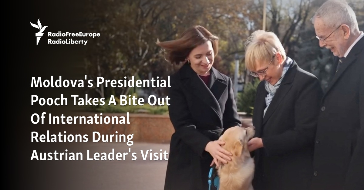 Moldova's Presidential Pooch Takes A Bite Out Of International Relations During Austrian Leader's Visit - Vimarsana News