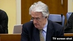 Radovan Karadžić u sudnici, 29. listopad 2013.