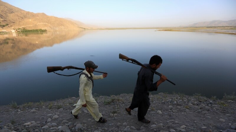وزارت داخله حکومت طالبان طرز العمل استفاده از تفنگ های شکاری را به اجرا می‌گذارد