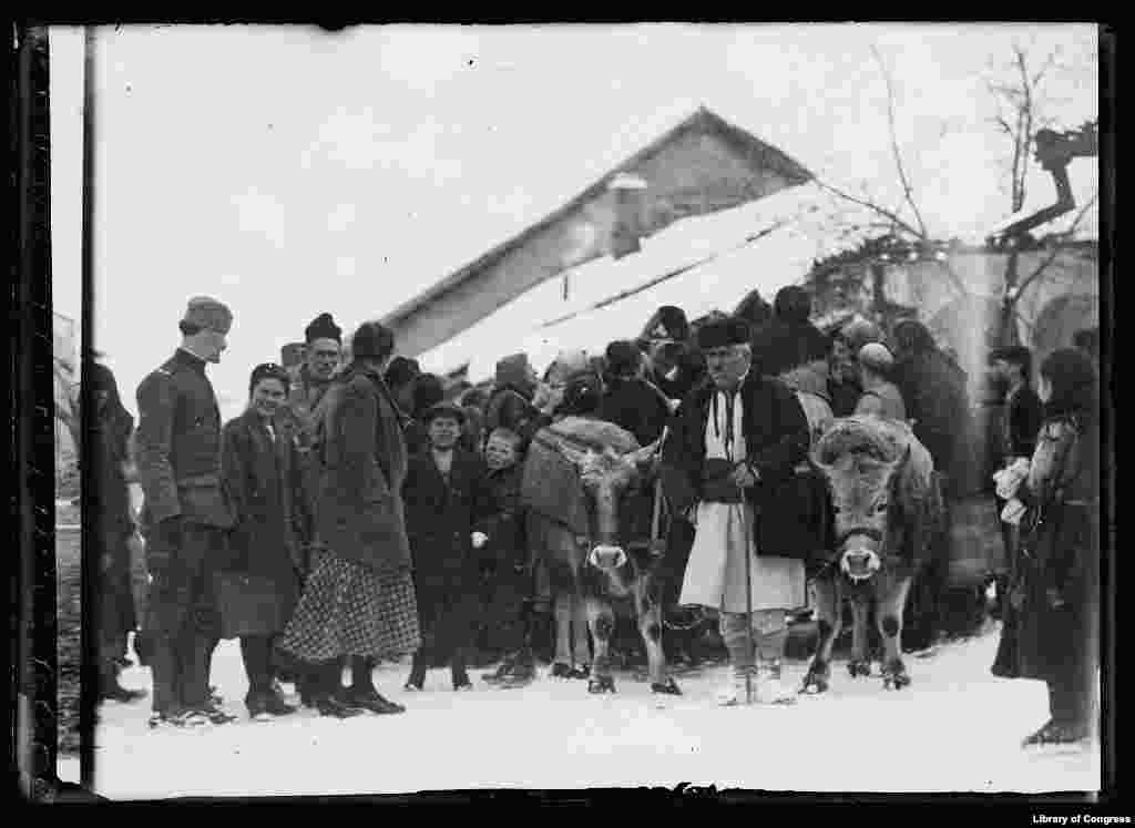 Допомогу американського Червоного Хреста возами привозять у місто Пірот, Сербія, спустошене Першою світовою війною, серпень 1919 року