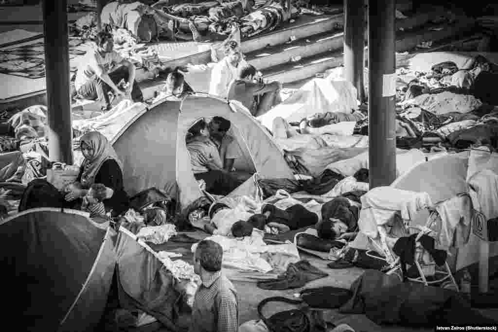 A migrant couple is caught kissing amid the chaos at the Keleti Railway Station in Budapest in late August. The image, by photographer Istvan Zsiros, went viral after he submitted it to a Facebook contest for images of refugees. “I hope every refugee finds their place in the world, finds peace as quickly as possible,” Zsiros told The Guardian. “That everyone is happy. It’s a very difficult situation, a very complex situation.”