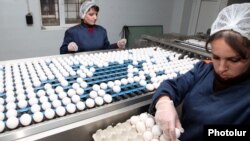 Armenia - Workers at a poultry factory in Yerevan, 5Dec2012.