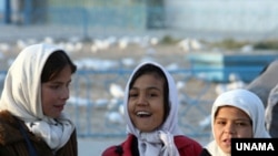 With the Taliban-era ban on girls from attending school still fresh in the minds of Afghans, the country's education system can already boast that nearly 40 percent of students are girls.