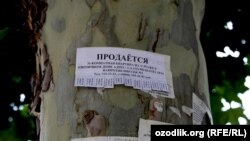 Uzbekistan - advertisement of selling a house in Chirchiq city, 14Oct2012