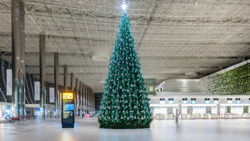 В аэропорту Симферополя Дед Мороз и Снегурочка искали должников среди пассажиров