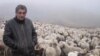 Македонија треба да се фокусира на сточарство 