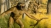 Painting depicting Australopithecus robustus defending territory.