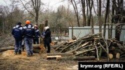 У Сімферополі пиляють дерева на місці будівництва колектора