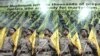 «حزب الله شبه نظامیان عراقی را تعلیم می دهد»