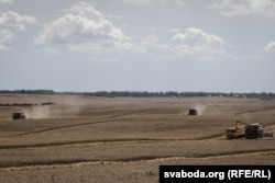 «Бітва за ўраджай» у Беларусі. Архіўнае фота