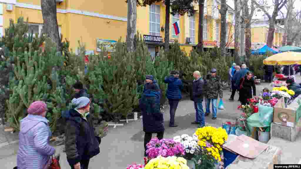 Yaltada - terekniñ öksekligine bağlı - narat ve çam fiyatları 500 - 2000 ruble&nbsp;&nbsp;