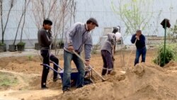 Türkmenistan: Daşary ýurt firmalardan işgärleriň şahsy maglumatlary talap edilýär