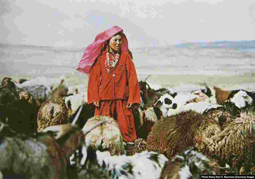 An archival photo of a young woman with her flock in the Pamir Mountains. Poorer families tended the sheep and goats of the richer tribe members.