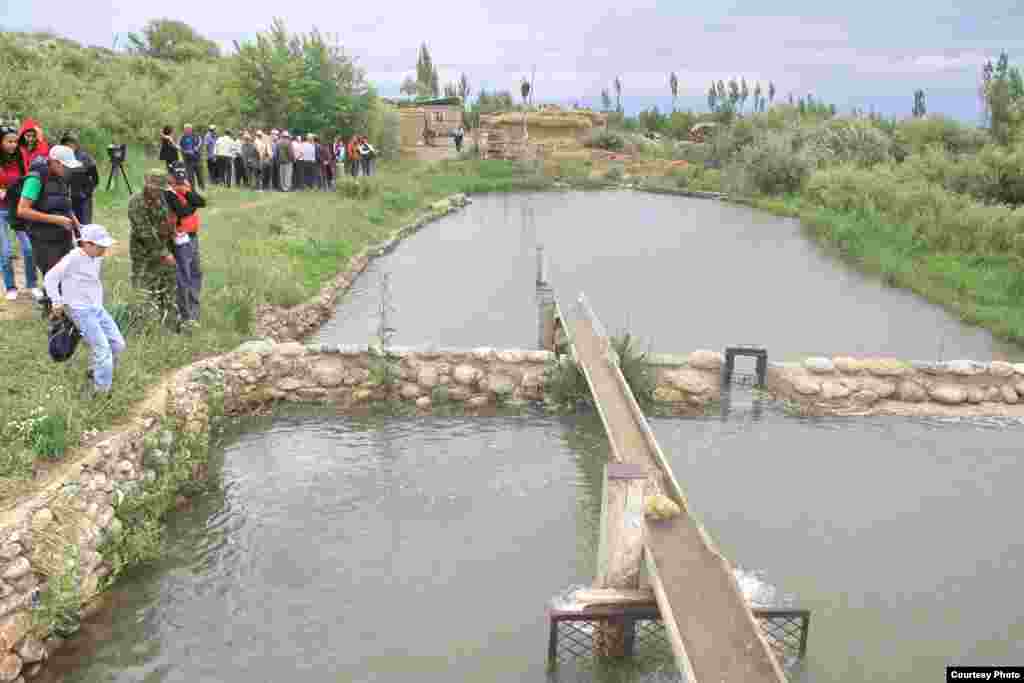 The Karakol fish farm has 16 man-made lakes over 75 hectares, but just four are in operation. 