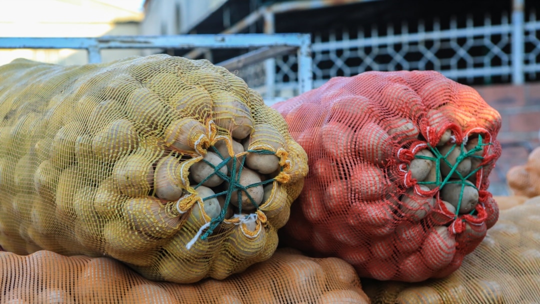 Brazzers-тен порно көру