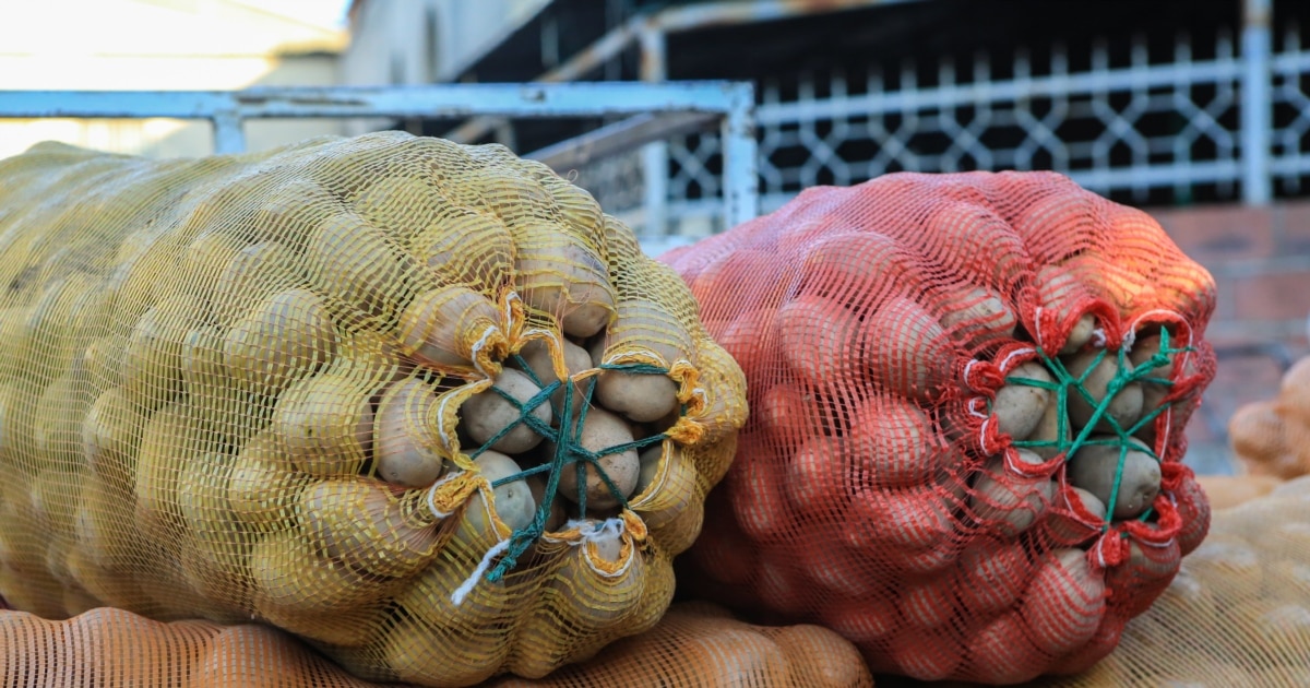 Фанфик порно жұлдызы