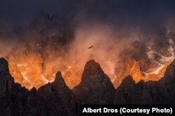 «Беркут в аду». Фотография Альберта Дроса. Кыргызстан.