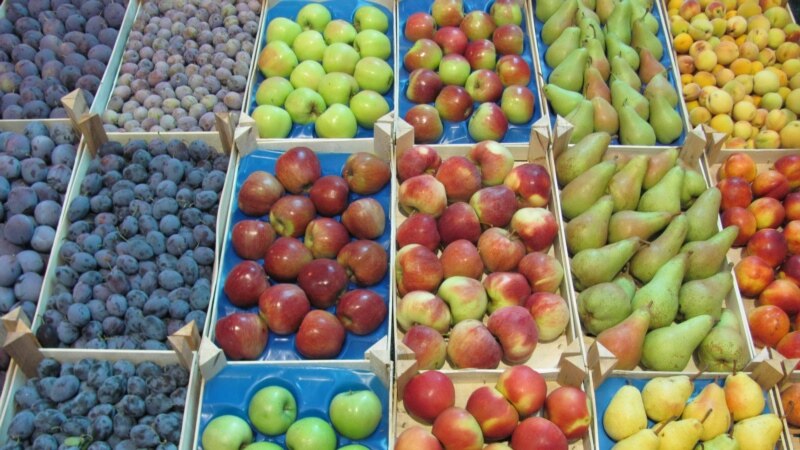 Српската влада дозволи извоз на храна од органско потекло 