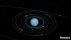 Space -- A NASA diagram shows the orbits of several moons located close to the planet Neptune