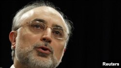 Turkey -- Iranian Foreign Minister Ali Akbar Salehi attends a news conference in Ankara, 19Jan2012