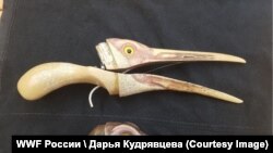 Искусственный клюв, напечатанный на 3D-принтере